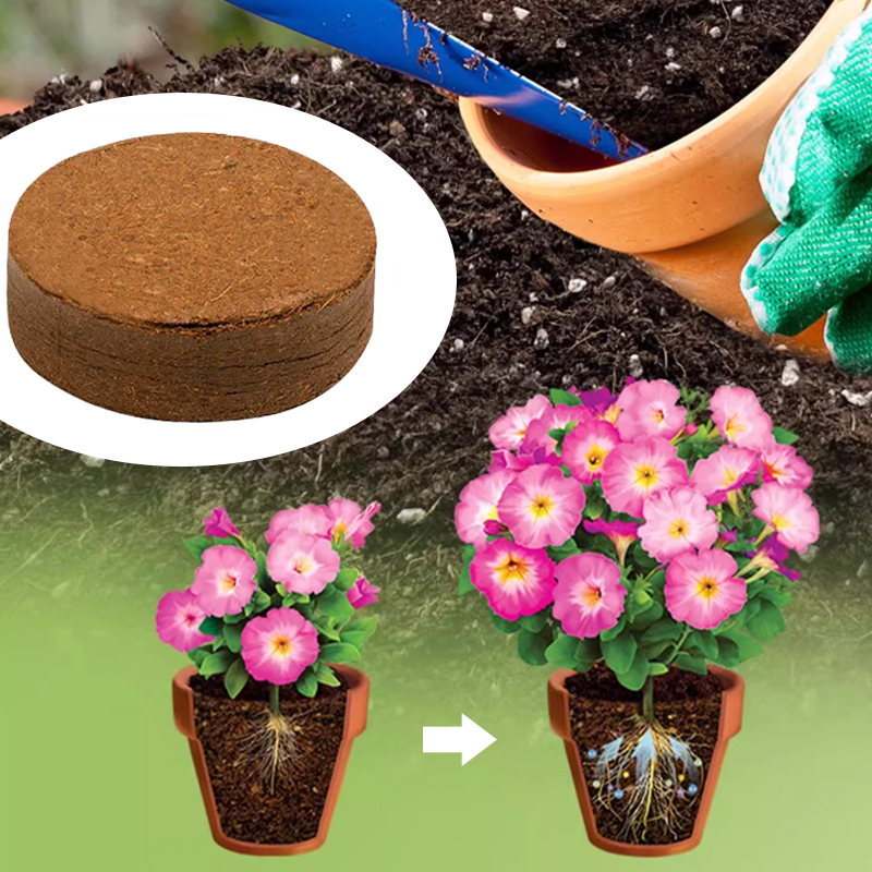 【Zehn Jahre ohne Düngung】Garten Kokosziegel Nährboden