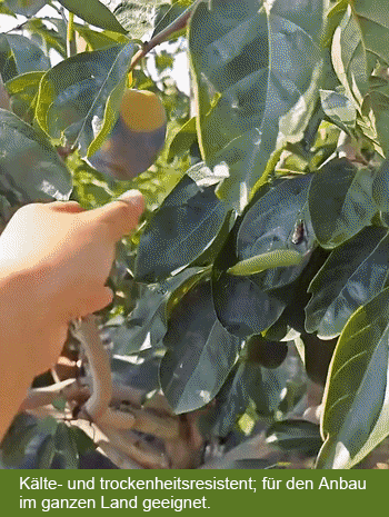 755a6ee7b3c5831a258fc750024a49b5.gif