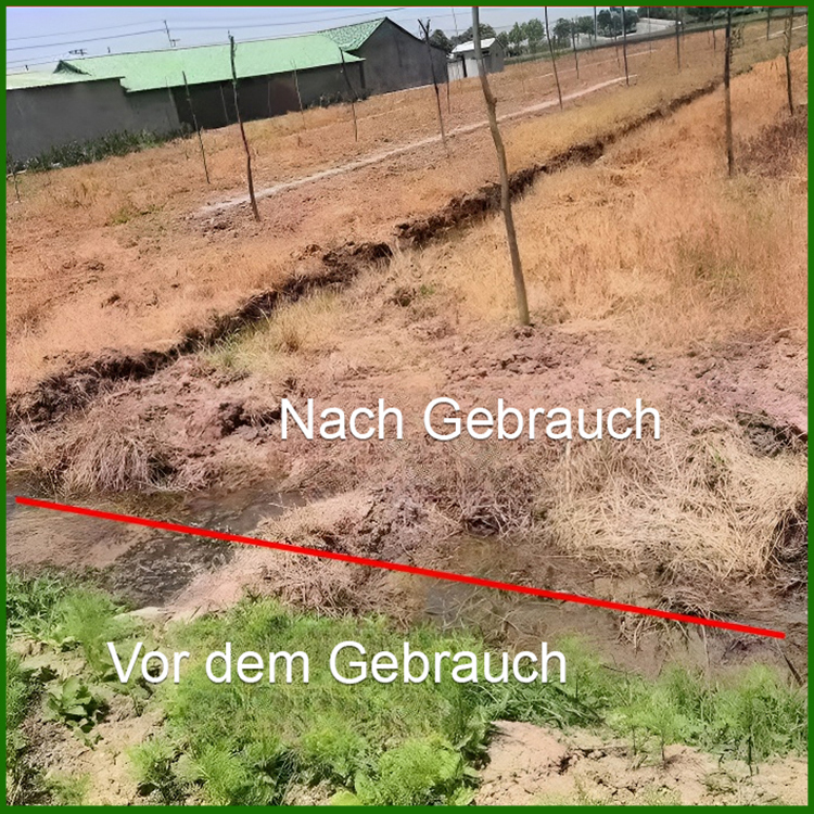 【Kann jedes Unkraut beseitigen】Stark wirksamer Unkrautvernichter