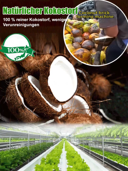 【Zehn Jahre ohne Düngung】Garten Kokosziegel Nährboden