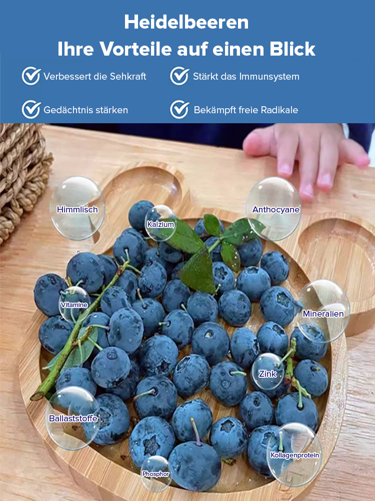 ✨Zeitlich begrenzte Aktion✨Selbstbestäubende Riesen-Blaubeerbaumsetzlinge