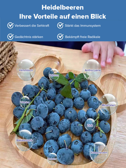 ✨Zeitlich begrenzte Aktion✨Selbstbestäubende Riesen-Blaubeerbaumsetzlinge