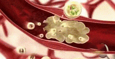 8.gif