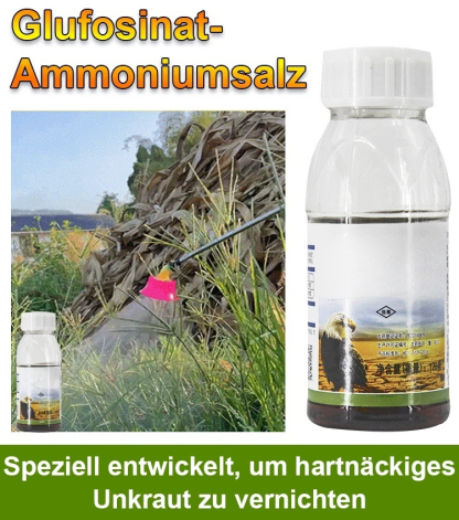 【Neuestes Ergebnis des Forschungszentrums Jülich】Hocheffizientes Unkrautvernichtungsmittel zur Wurzelbeseitigung