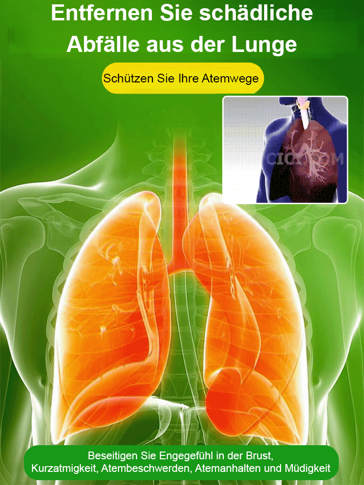 【Luftreinigung, Schlafverbesserung】100 % Überlebensrate - Parfüm-Dendrobium.