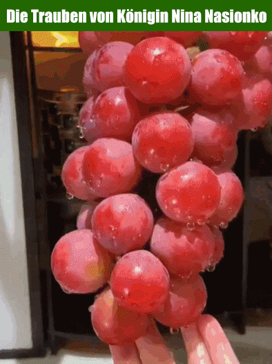【Mit natürlichem Weinaroma】Nina Queen Traubensamen