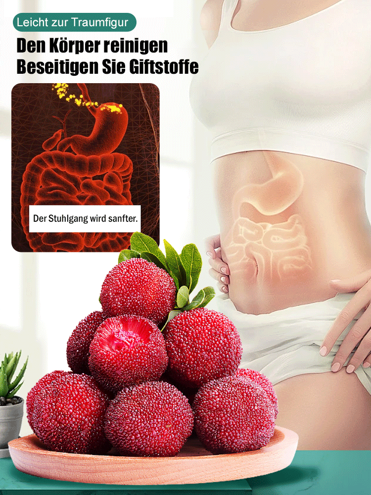 【Kleiner Kern, zart und saftig】Neue Sorte Yangmei-Samen