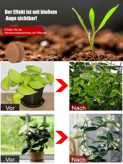 【Zehn Jahre ohne Düngung】Garten Kokosziegel Nährboden