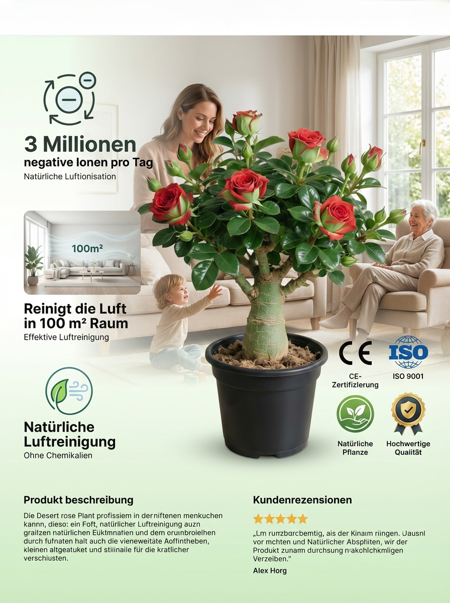 【Mit Wasser gedeiht es 100 Jahre】Wüstenrosen-Zwiebelblume, Von -20°C bis 40°C.