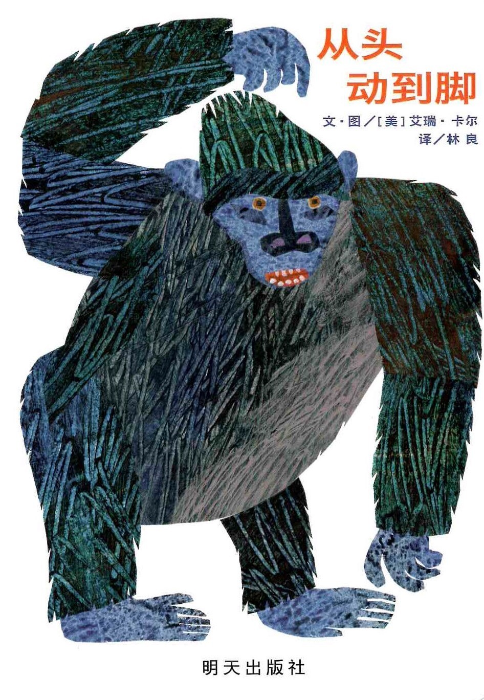 From Head to Toe 《从头动到脚》
