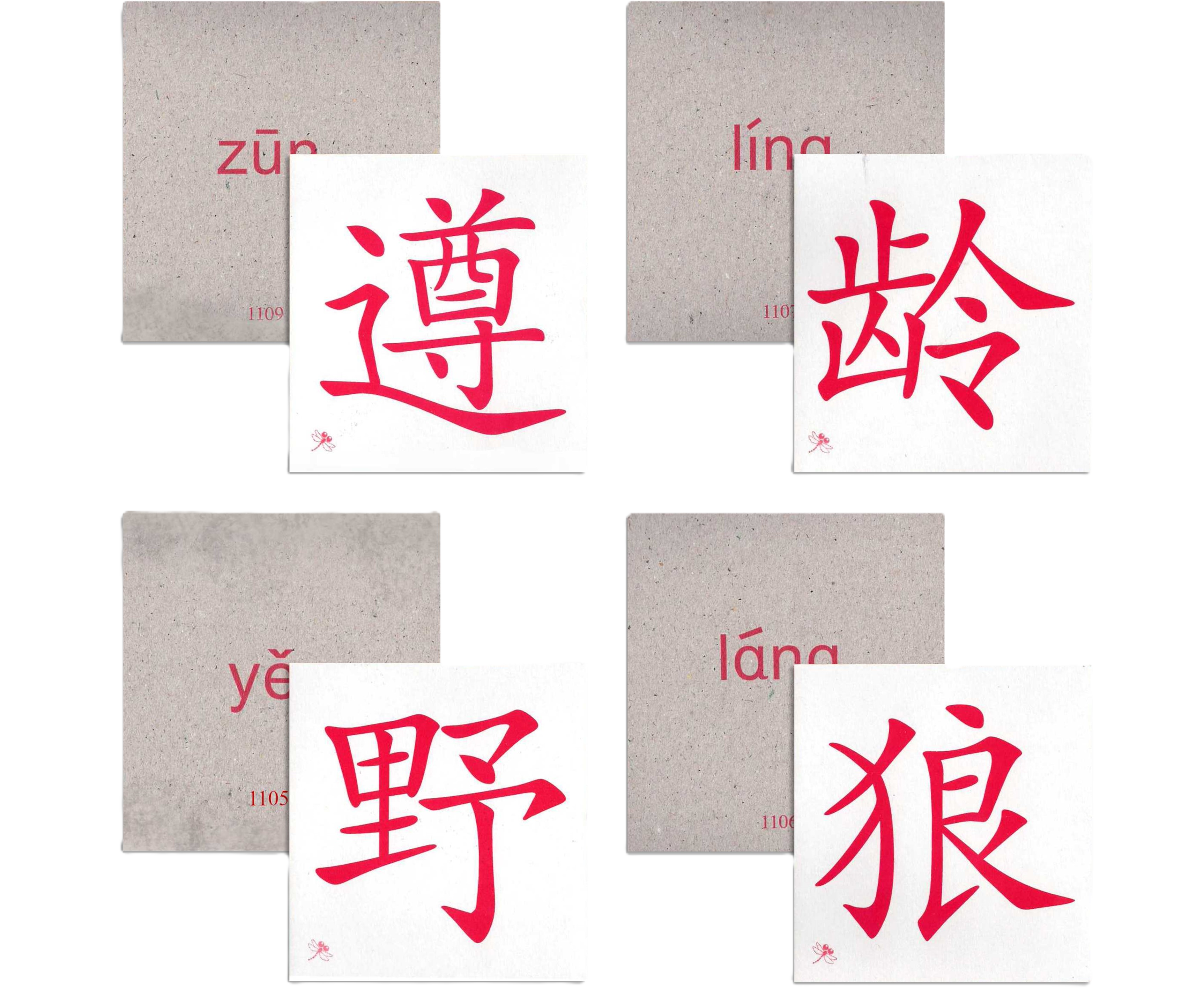 Odonata Classic Graded Learning Flashcards: Level 5 — 1200 Words