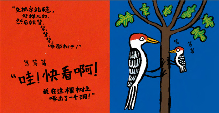 Peck Peck Peck 《笃笃笃》