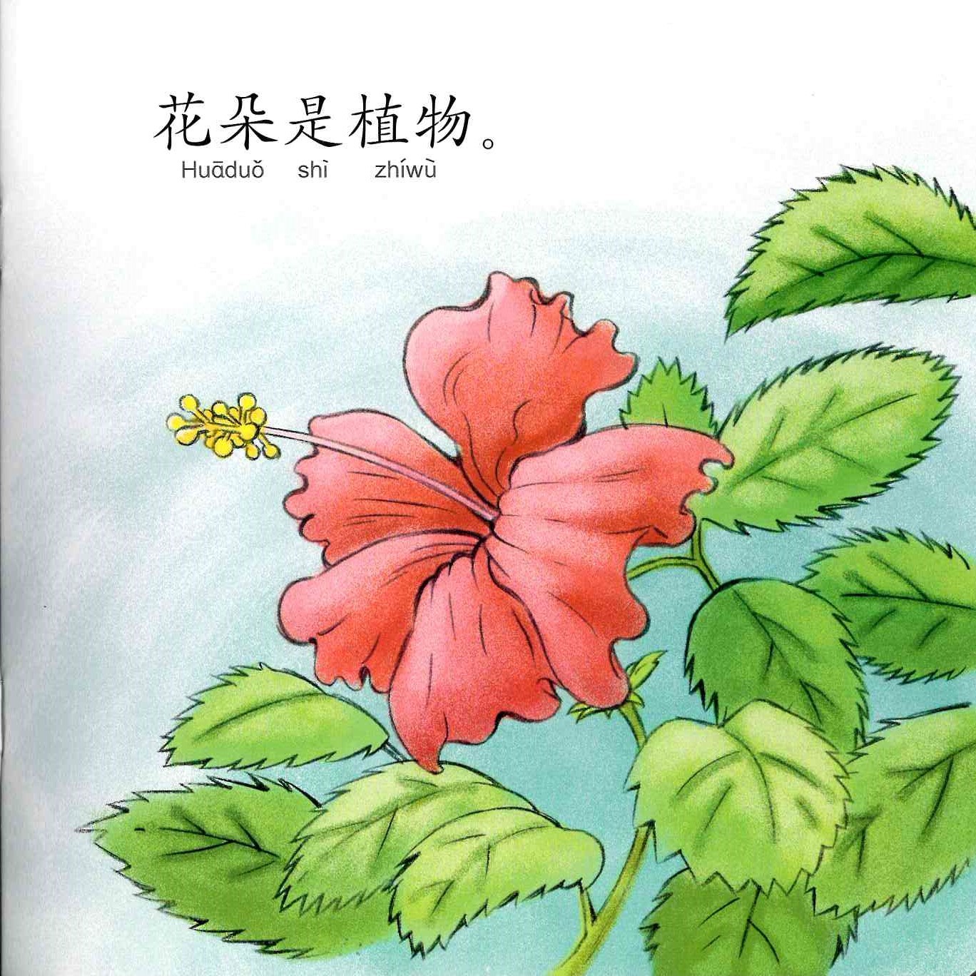 Odonata Learn Sentences Set 2《幼儿学句型 第2辑》