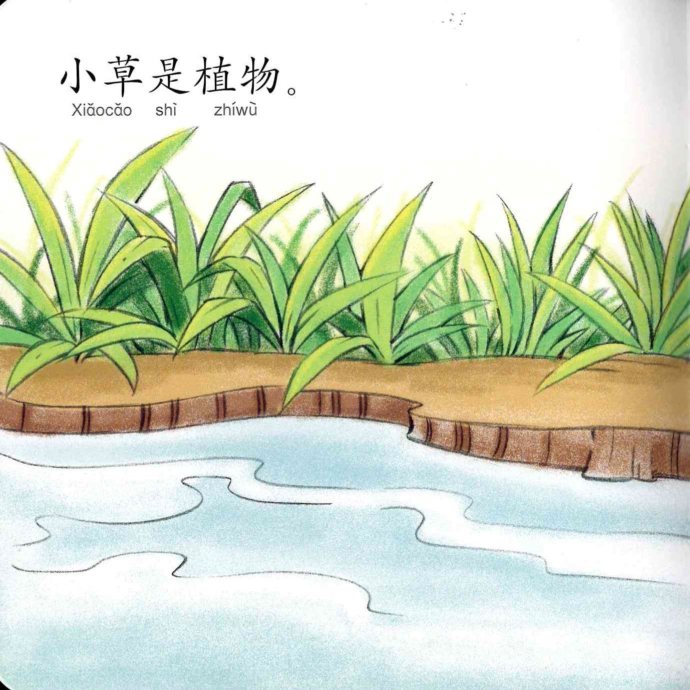 Odonata Learn Sentences Set 2《幼儿学句型 第2辑》