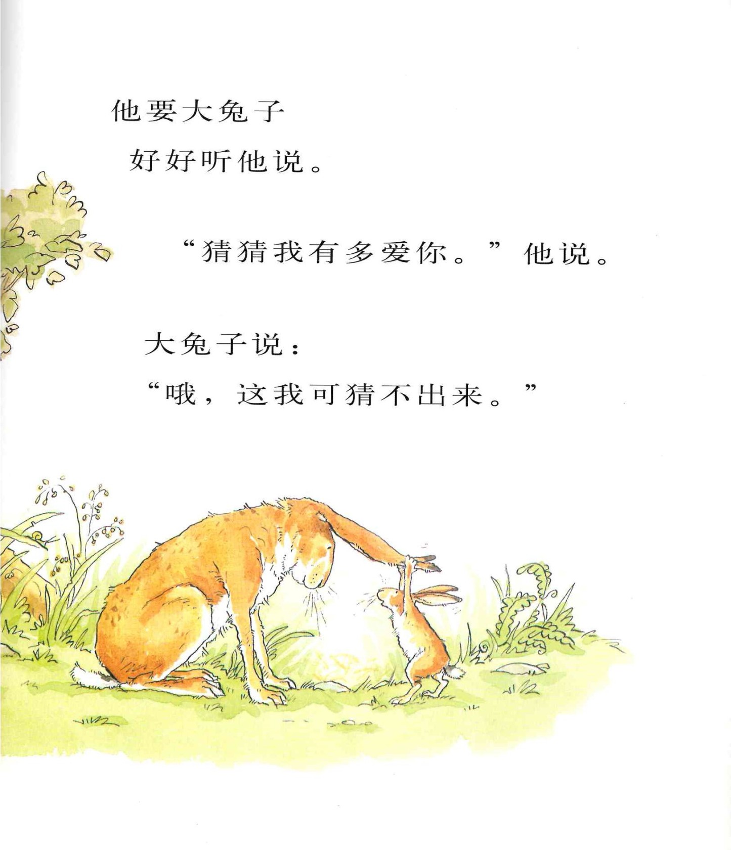 Guess How Much I Love You 《猜猜我有多爱你》