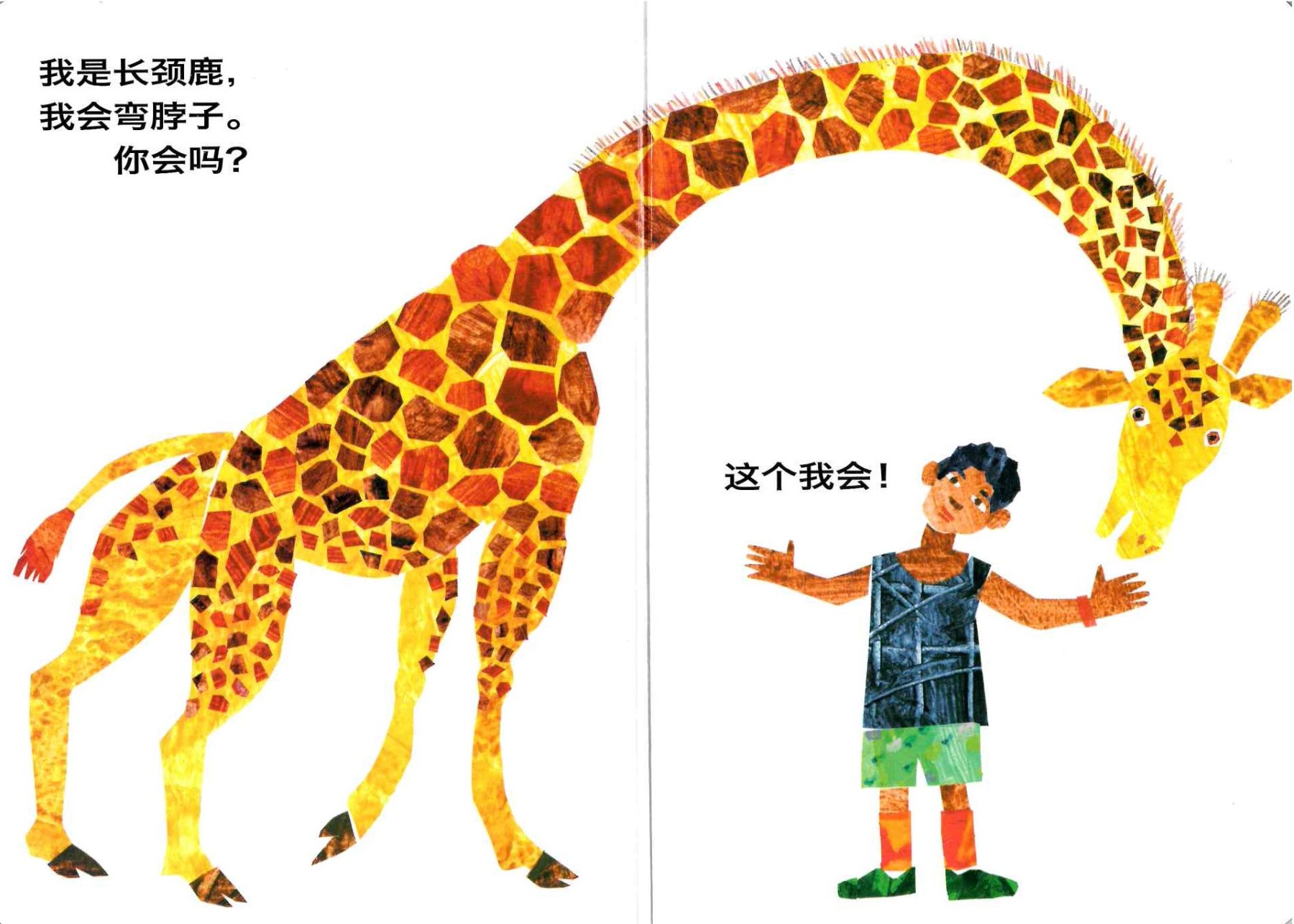 From Head to Toe 《从头动到脚》