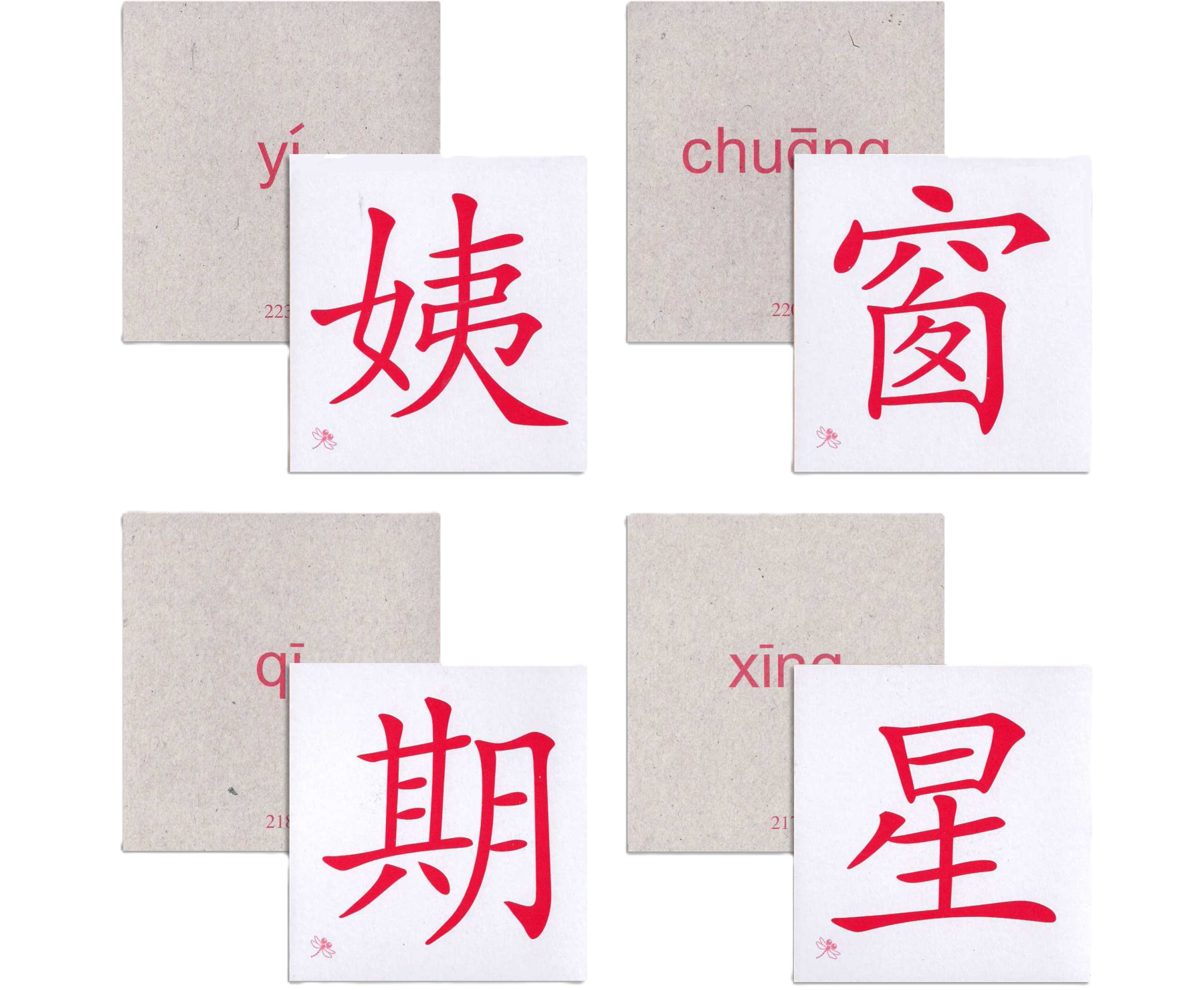 Odonata Classic Graded Learning Flashcards: Level 3 — 300 Words