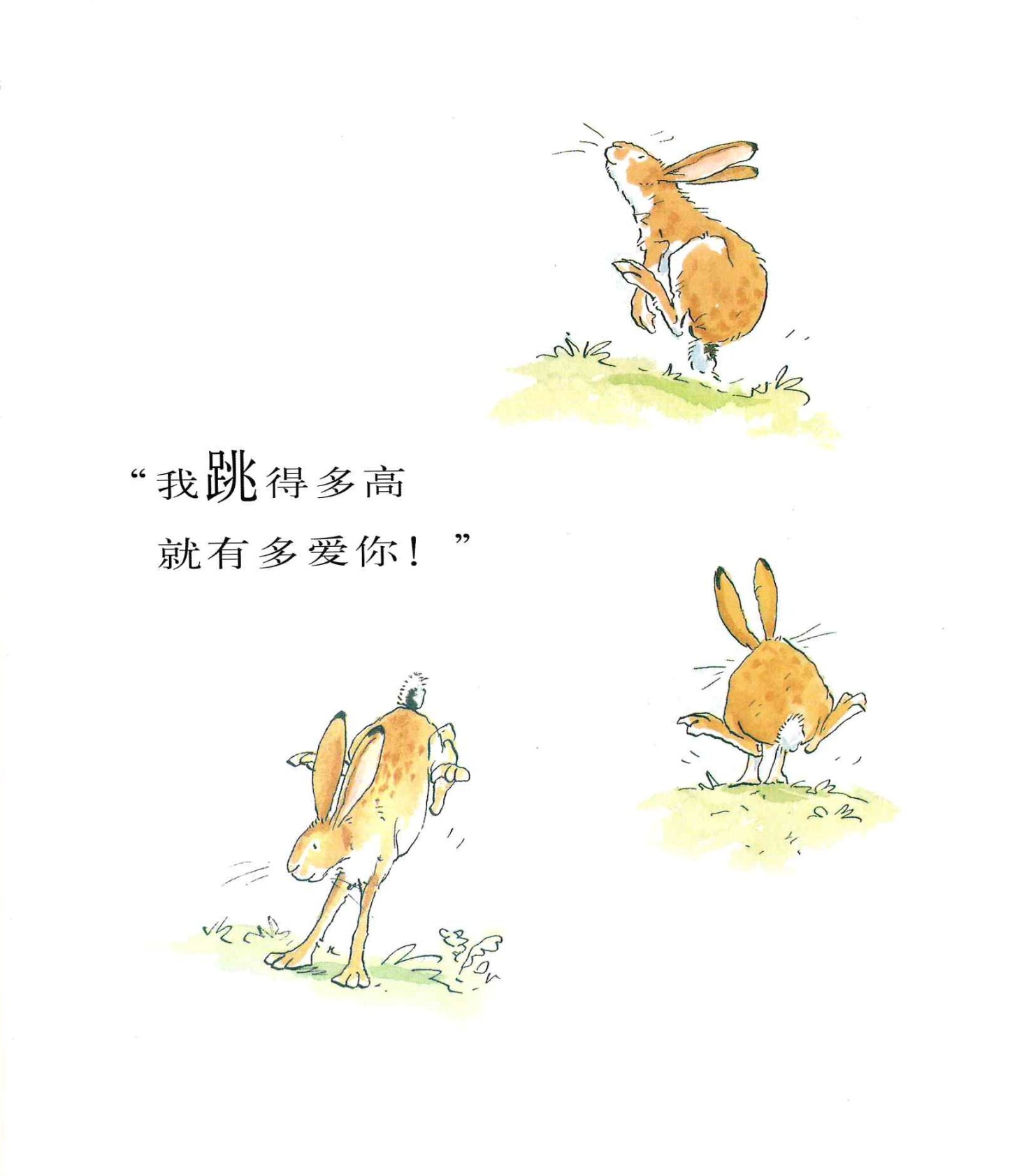 Guess How Much I Love You 《猜猜我有多爱你》