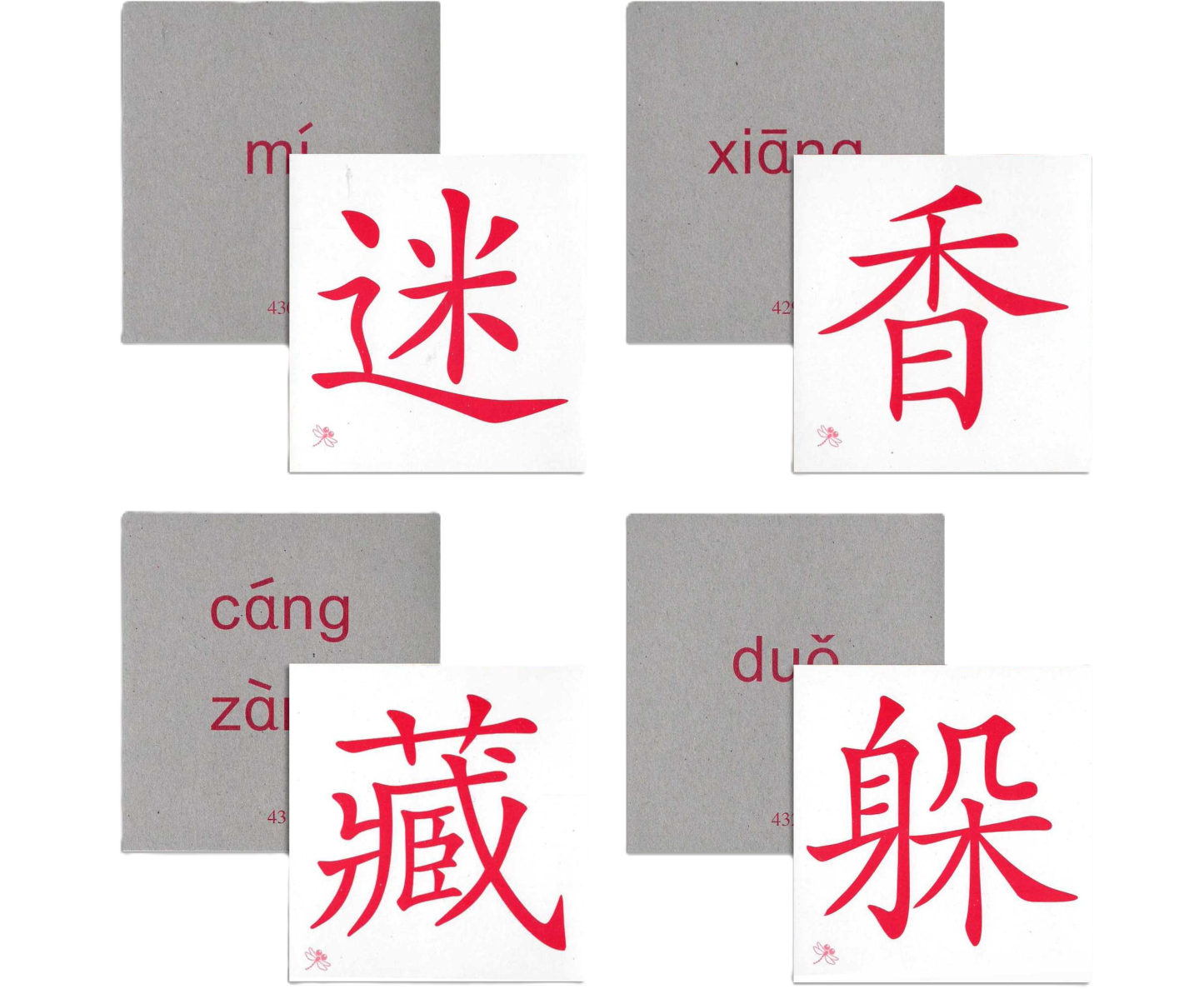 Odonata Classic Graded Learning Flashcards: Level 4 — 500 Words