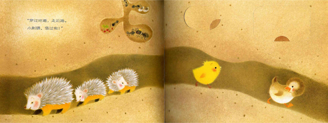 Chirp the Chick Grows Up Volume 1 (Set of 6) 《小鸡球球成长绘本 第一辑 全6册》