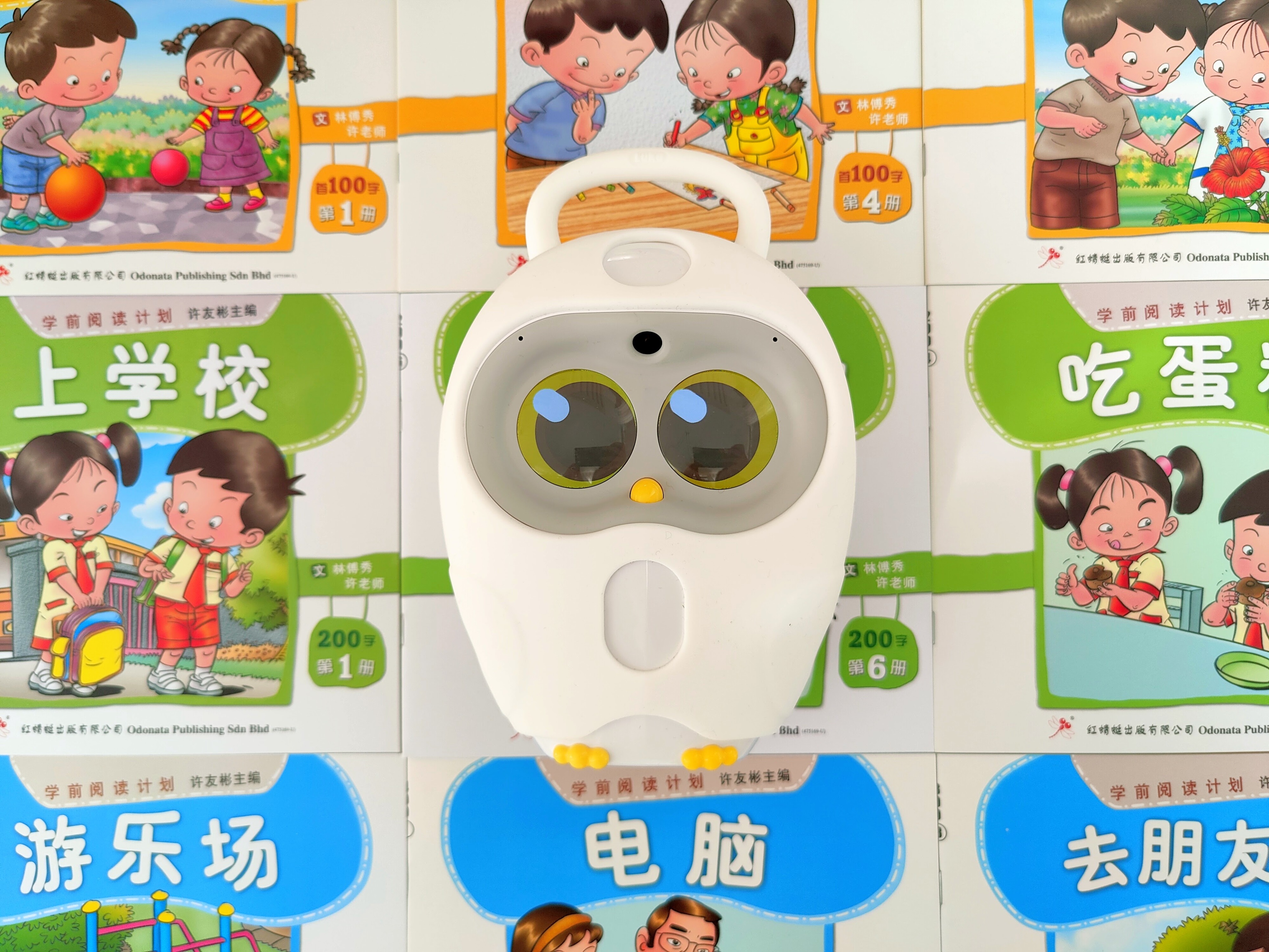 Bamboo Bilingual Chinese Children S Books Learning Resources