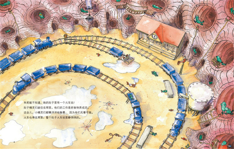 Anatomy Adventures (Set of 4) 《德国精选科学图画书 全4册》