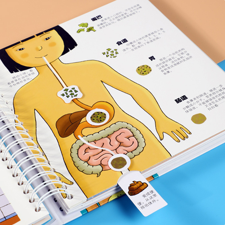 The Human Body 《我们的身体》