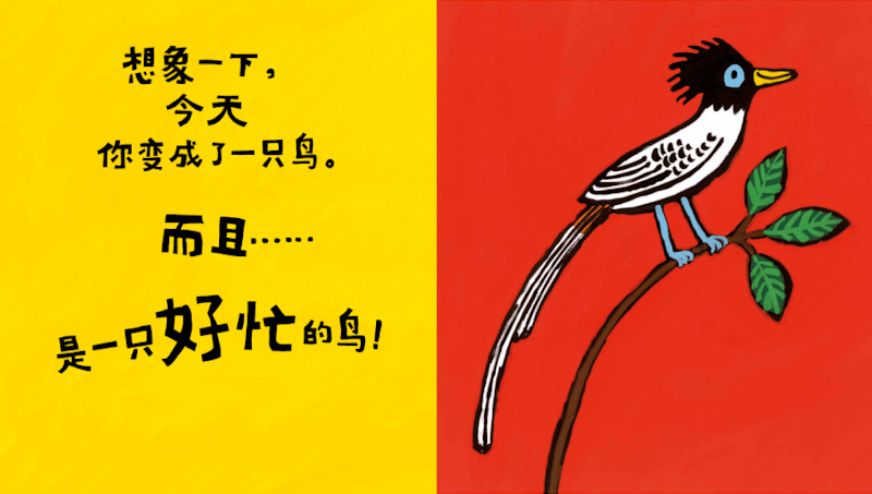 A Busy Day for Birds 《好忙的鸟儿》