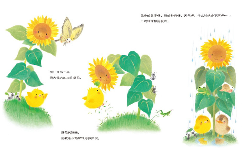 Chirp the Chick Picture Book Adventures (Set of 5) 《小鸡球球的故事 全5册》