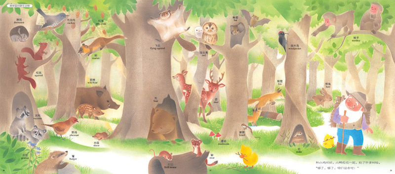 Chirp the Chick Picture Book Adventures (Set of 5) 《小鸡球球的故事 全5册》