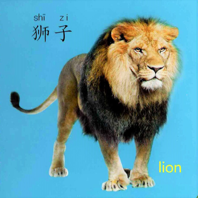 Cool! Baby Flashcards: At the Zoo 《动物世界》