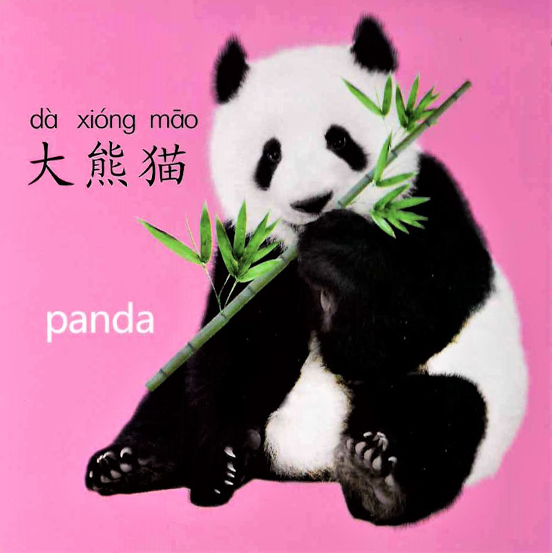Cool! Baby Flashcards: At the Zoo 《动物世界》