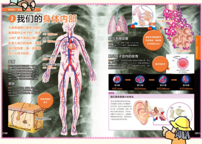 Everyday Science (Set of 3) 《身边的科学 全3册》