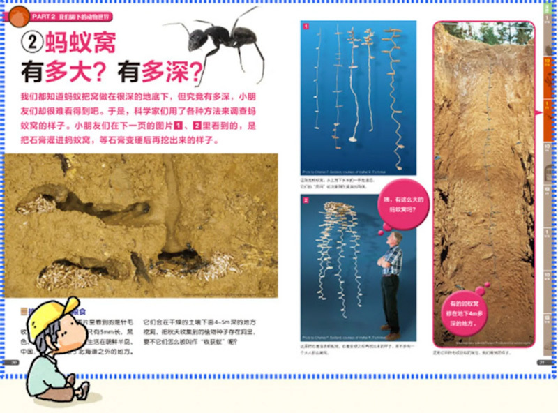 Everyday Science (Set of 3) 《身边的科学 全3册》