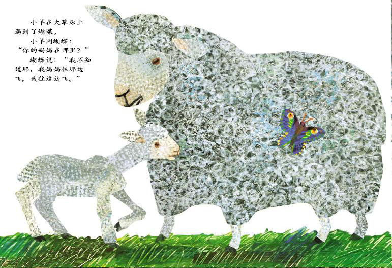 The Lamb and the Butterfly 《小羊和蝴蝶》