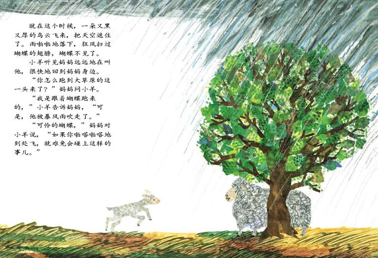 The Lamb and the Butterfly 《小羊和蝴蝶》