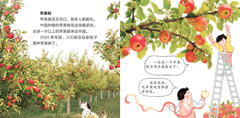 Little Lamb Chinese Graded Learning — Level 6