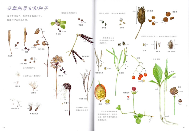 Book of Nature (Set of 3) 《自然科学绘本 全3册》