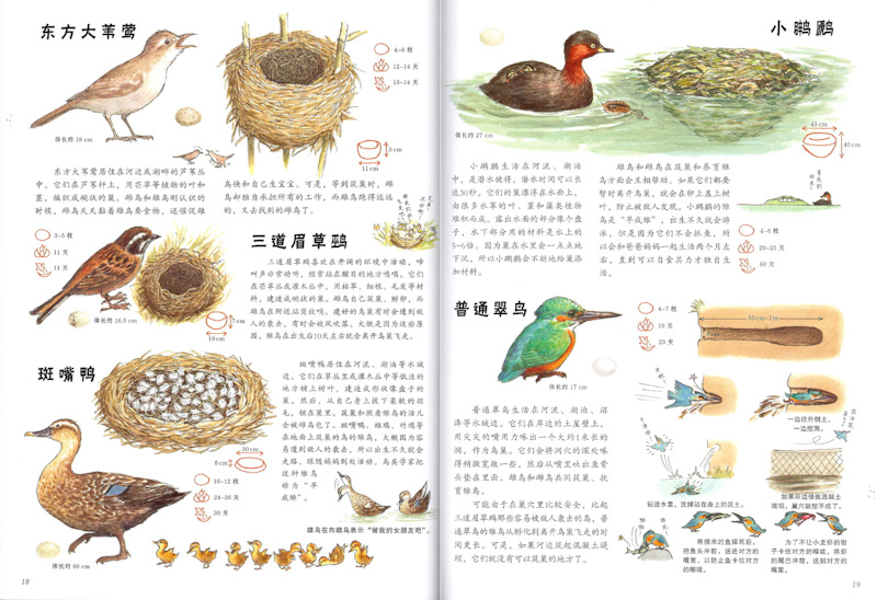 Book of Nature (Set of 3) 《自然科学绘本 全3册》