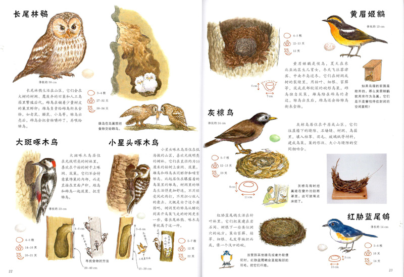 Book of Nature (Set of 3) 《自然科学绘本 全3册》