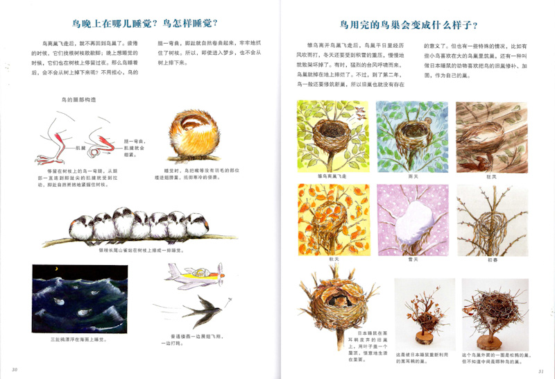 Book of Nature (Set of 3) 《自然科学绘本 全3册》