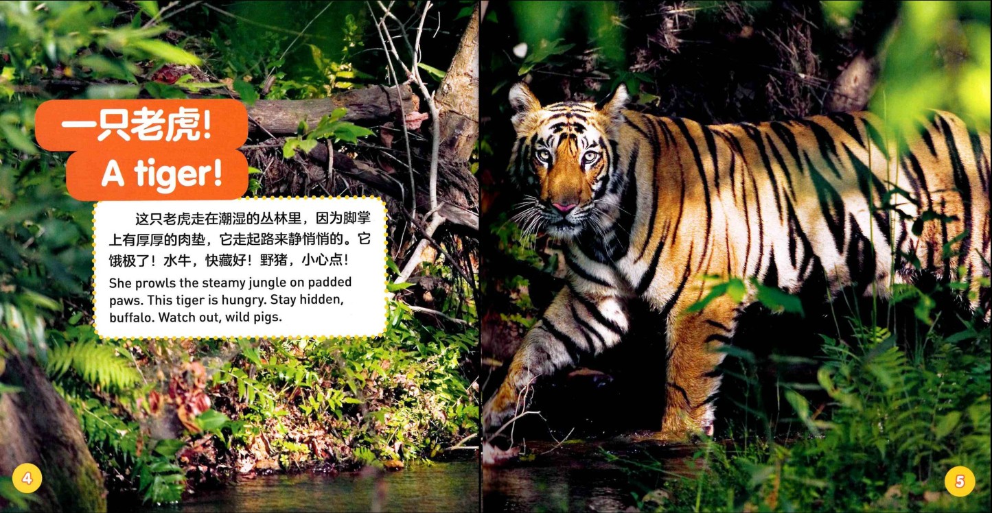 National Geographic Explore My World (Set of 8) 《美国国家地理探索世界双语小百科 全8册》