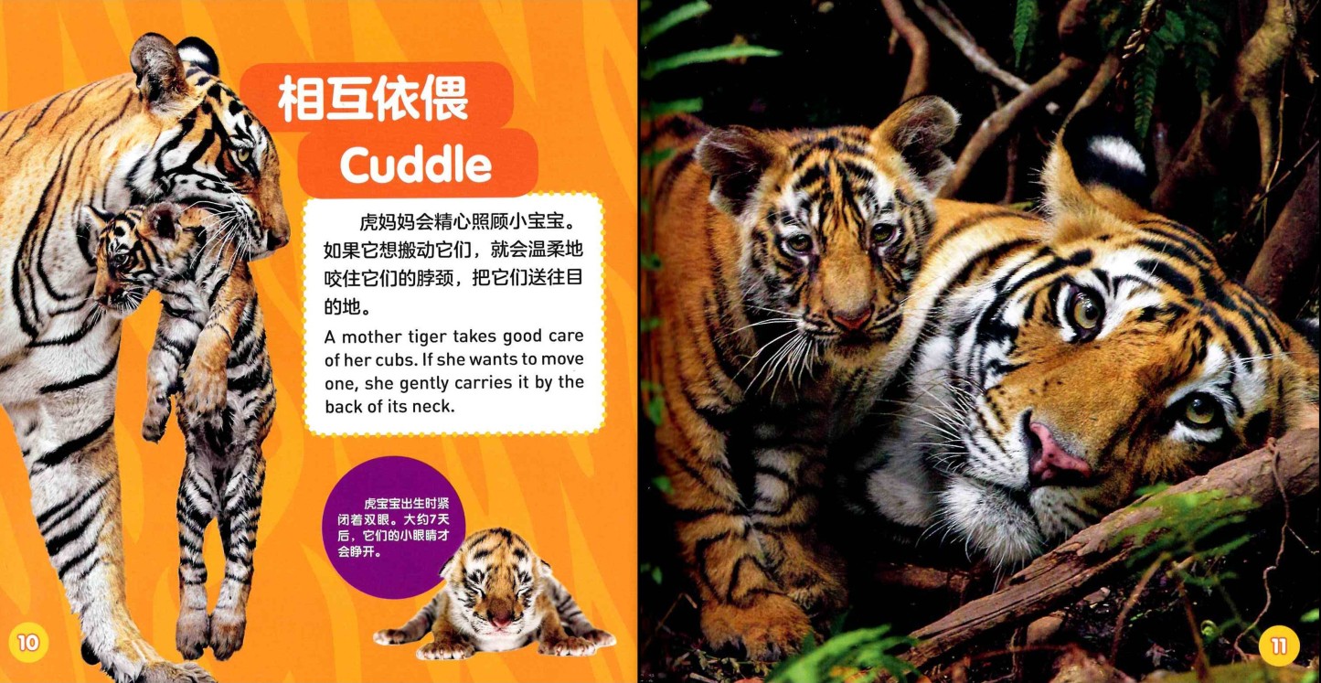 National Geographic Explore My World (Set of 8) 《美国国家地理探索世界双语小百科 全8册》