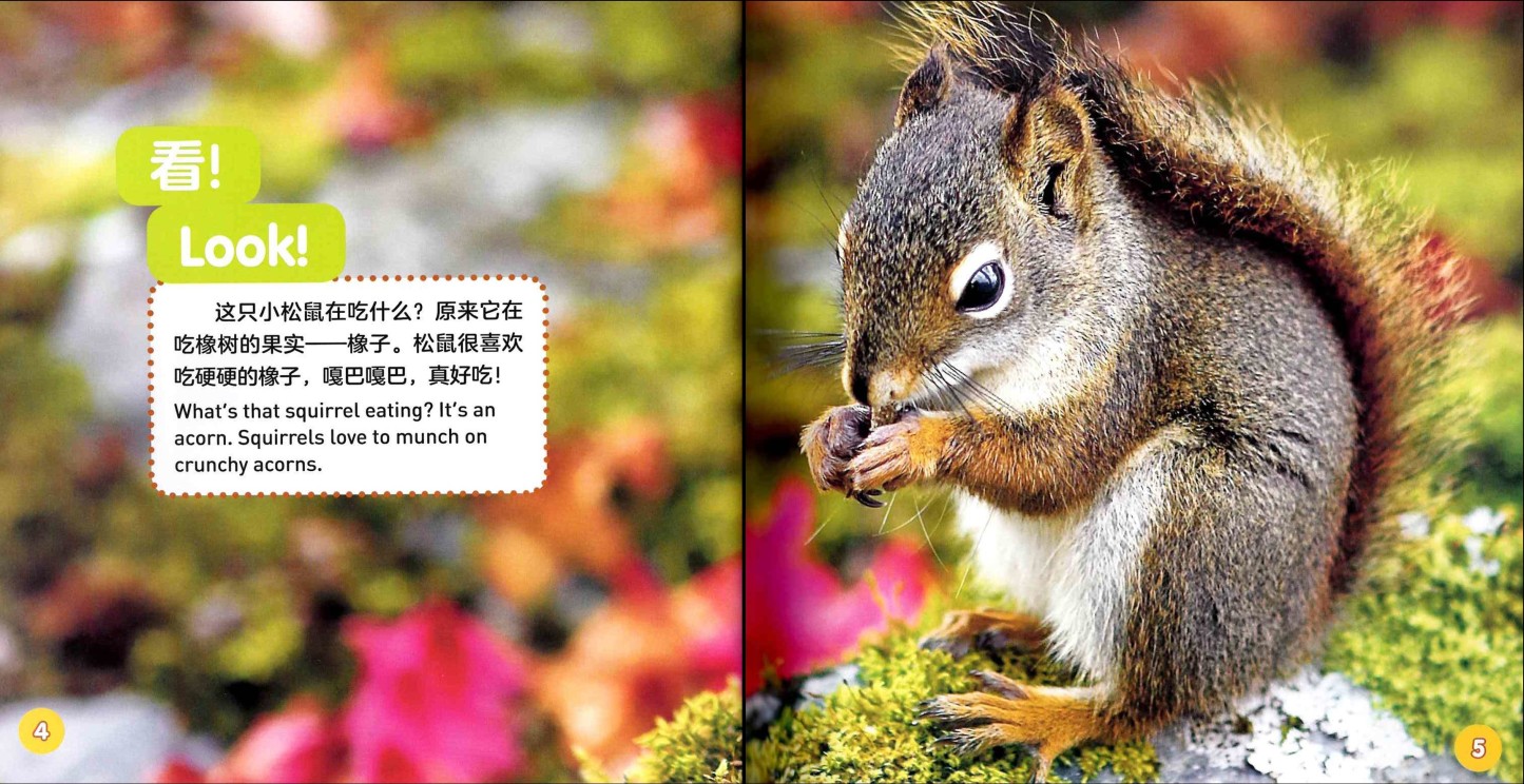 National Geographic Explore My World (Set of 8) 《美国国家地理探索世界双语小百科 全8册》