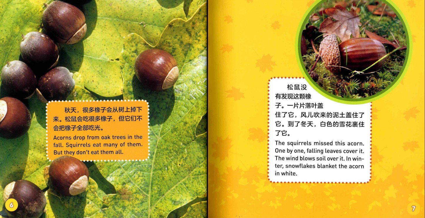 National Geographic Explore My World (Set of 8) 《美国国家地理探索世界双语小百科 全8册》