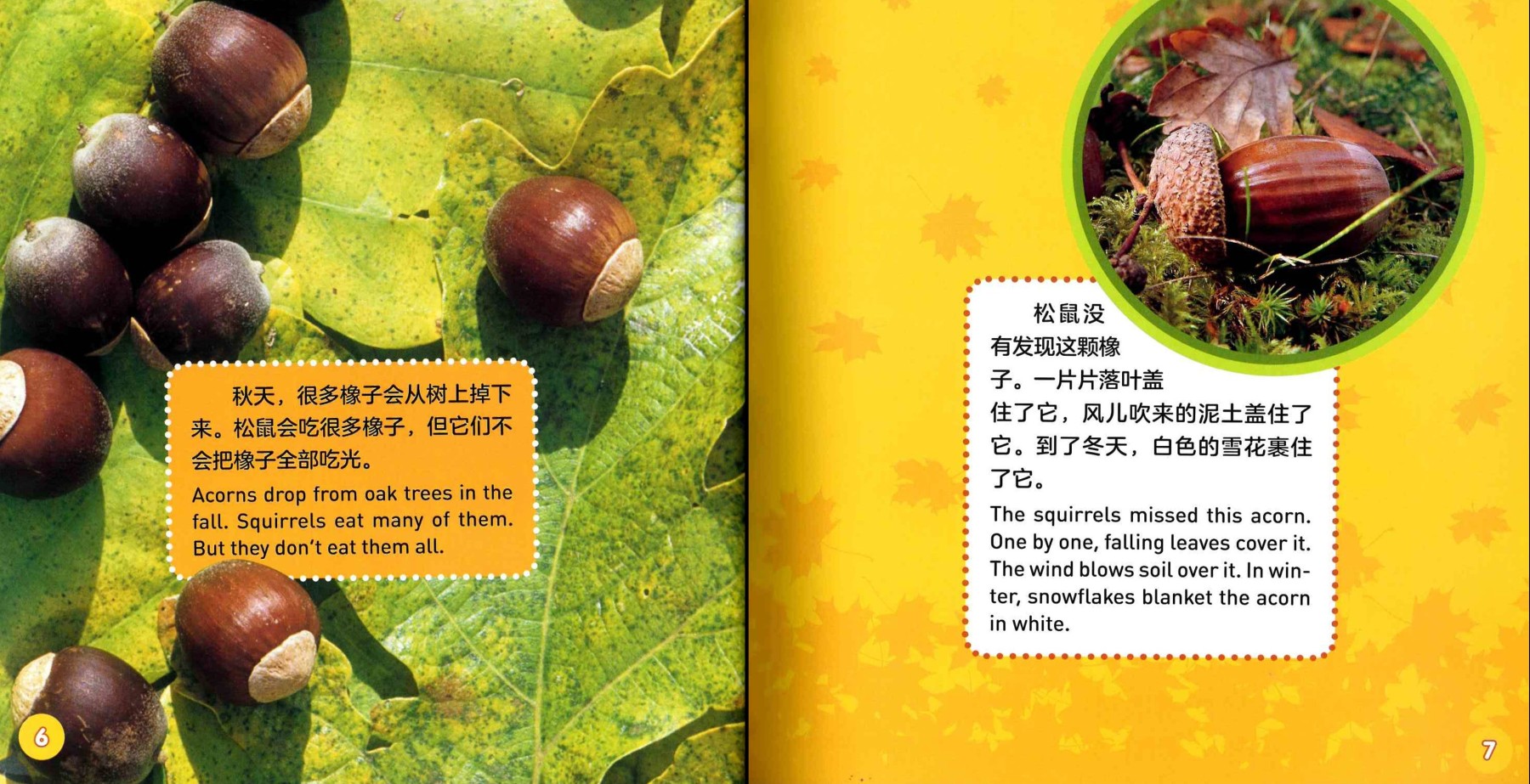 National Geographic Explore My World (Set of 8) 《美国国家地理探索世界双语小百科 全8册》