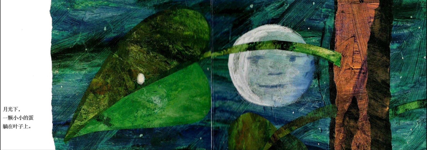 The Very Hungry Caterpillar 《好饿的毛毛虫》