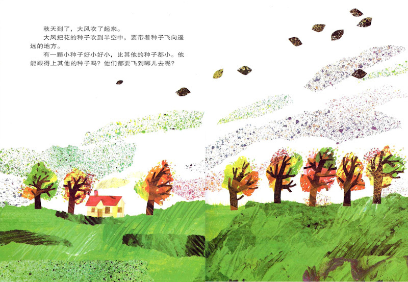 The Tiny Seed 《小种子》