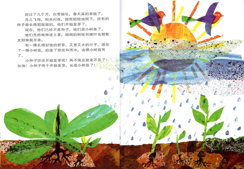 The Tiny Seed 《小种子》