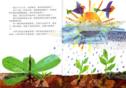 The Tiny Seed 《小种子》